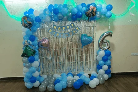 Frozen Decoration for Kid's Birthday